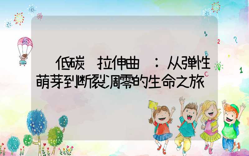 低碳钢拉伸曲线:从弹性萌芽到断裂凋零的生命之旅